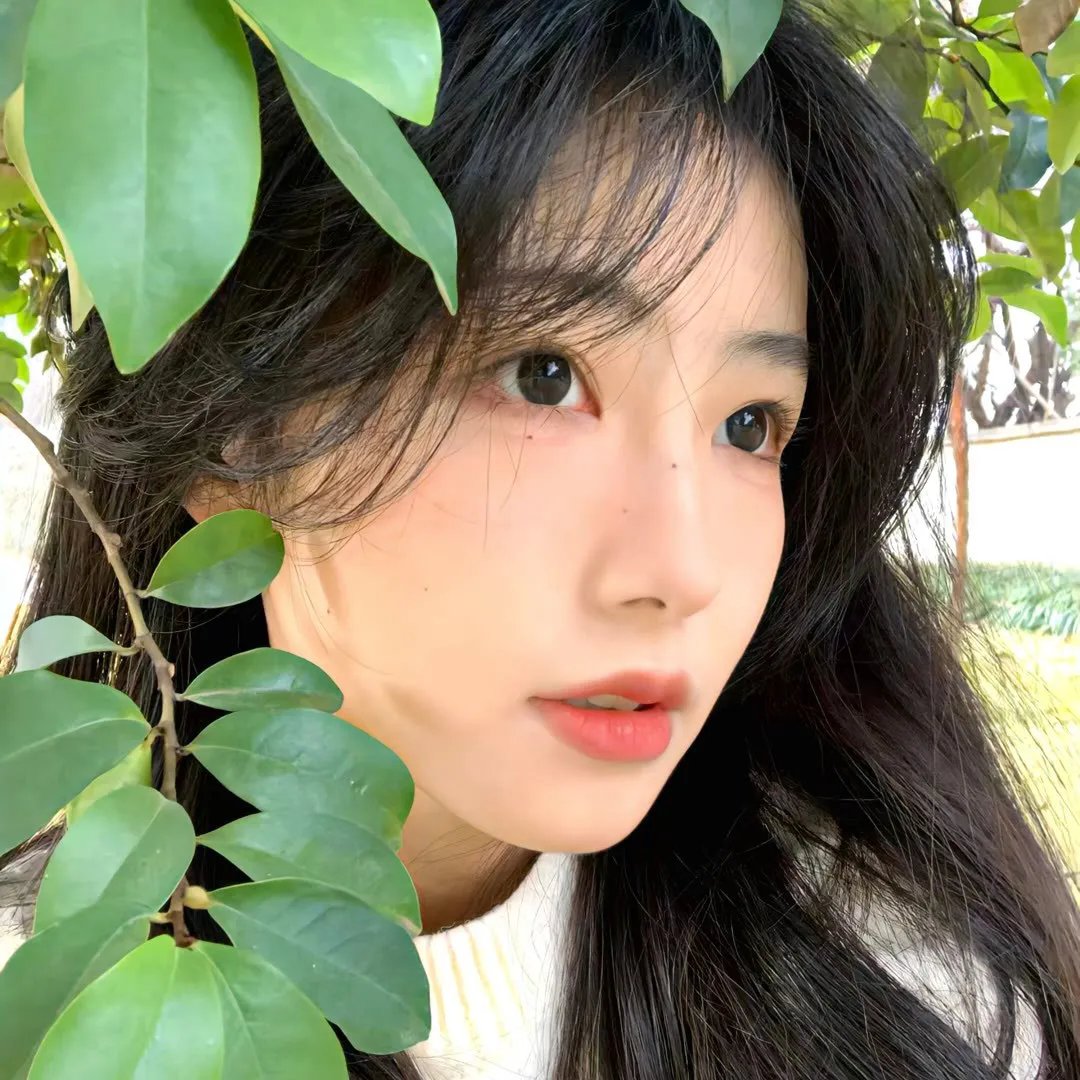 安多第二季